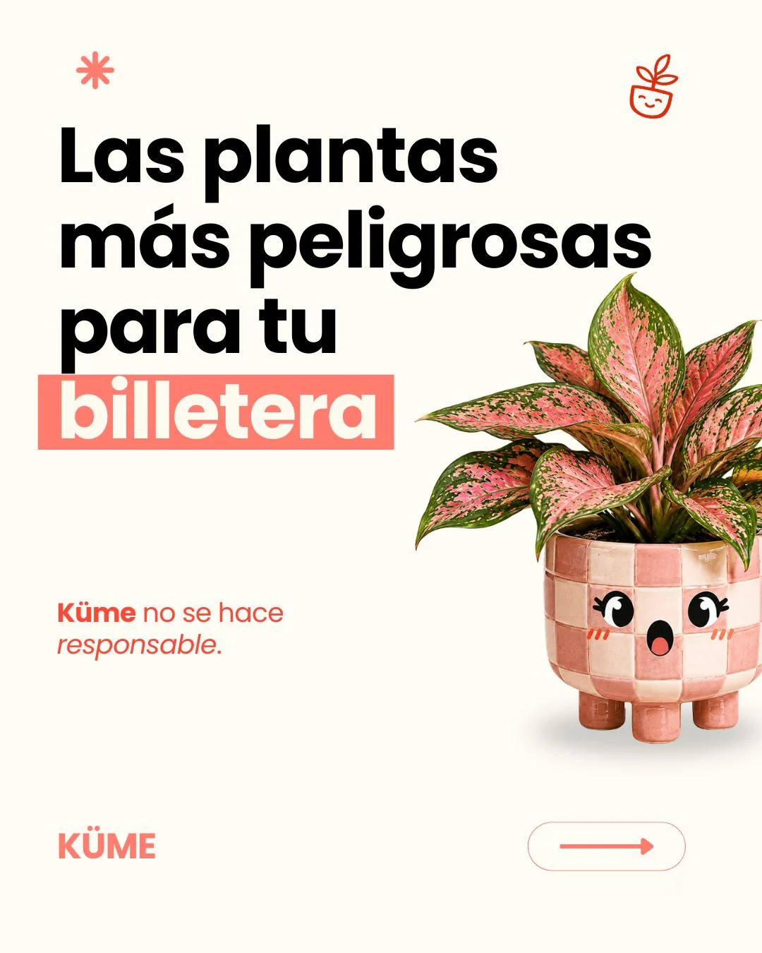 Campaña KÜME